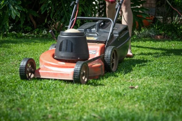 Lawn Maintenance